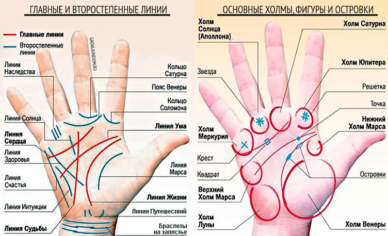 линии на руке